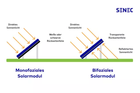 Die Grafik zeigt, wie bifaziale Module sowohl das direkte Sonnenlicht nutzen als auch das indirekte Sonnenlicht.